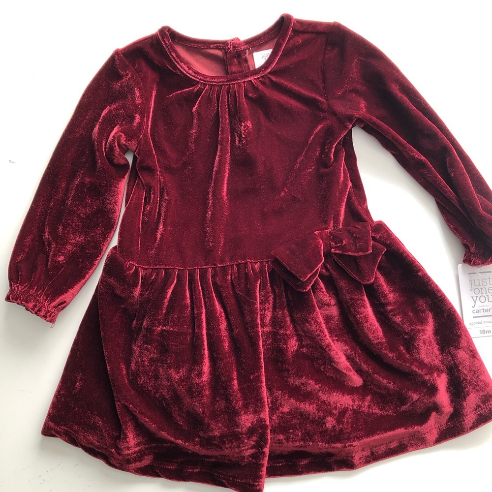 Carter’s special occasion dress 18 months